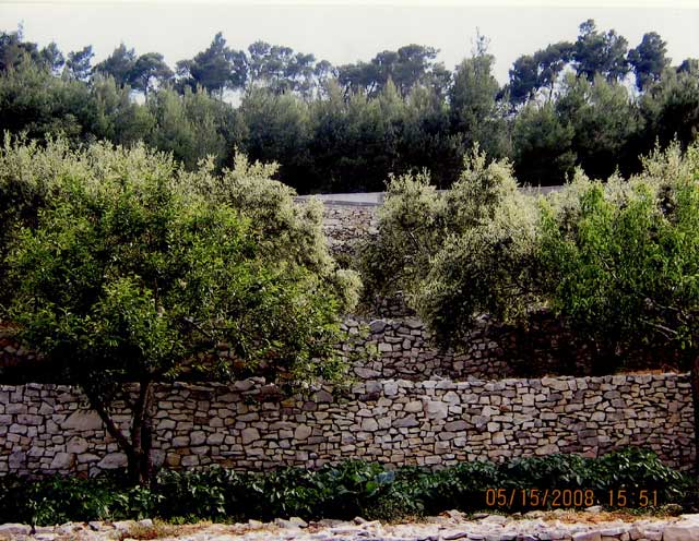 Vela Luka (otok Korčula), Dalmacija, 200m²