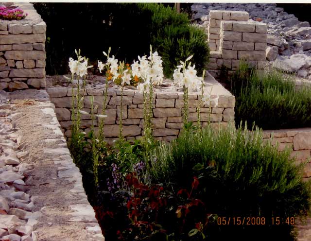 Vela Luka (otok Korčula), Dalmacija, 200m²