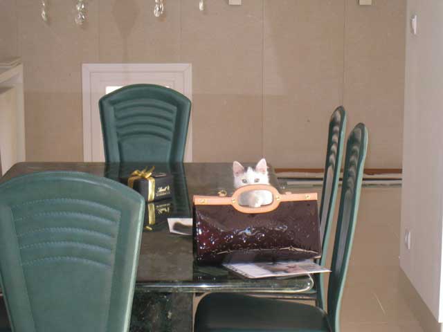 Radićeva, Center, 135m²