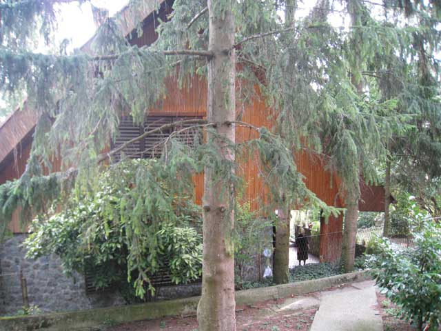 Gračanski Mihaljevac, Gračani, 1440m²