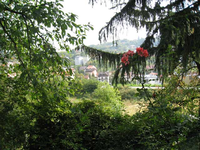 Gračanski Mihaljevac, Gračani, 1440m²