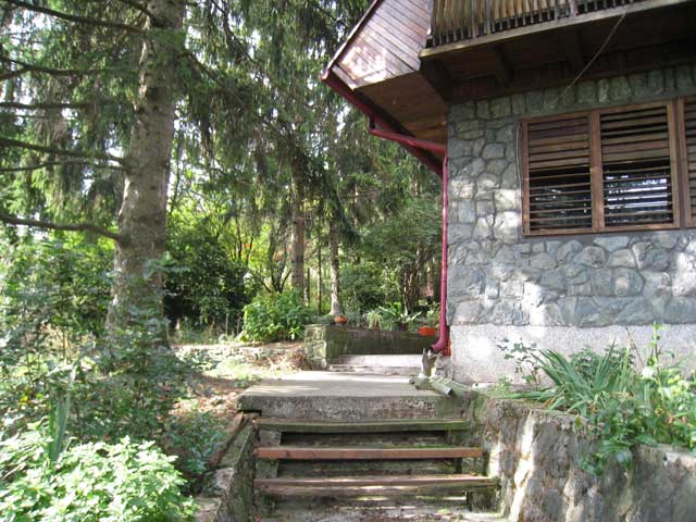 Gračanski Mihaljevac, Gračani, 1440m²