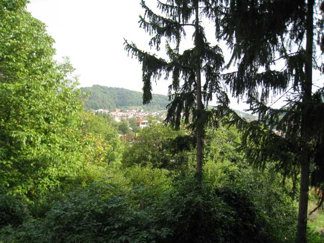 Gračanski Mihaljevac, Gračani, 1440m²