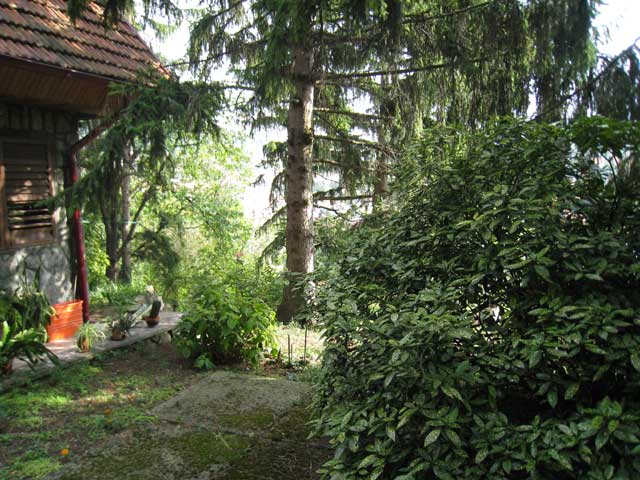 Gračanski Mihaljevac, Gračani, 1440m²