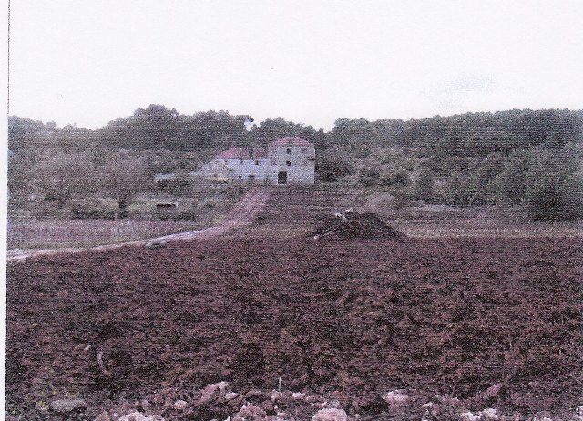 Otok Vis, Dalmacija, 77045m²