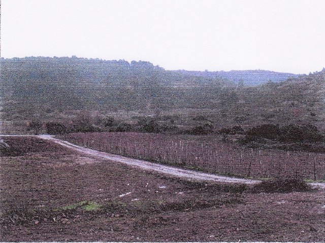 Otok Vis, Dalmacija, 77045m²