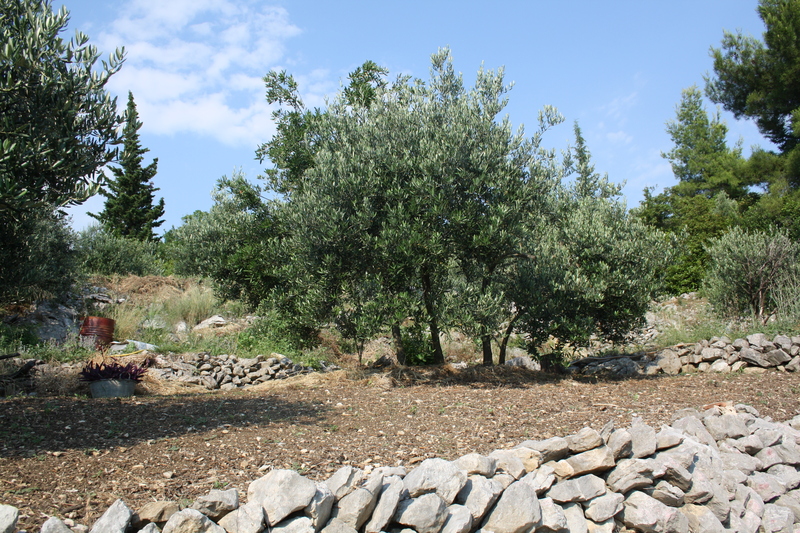 Dubrovnik (Trsteno), Dubrovačko primorje, 2340m²