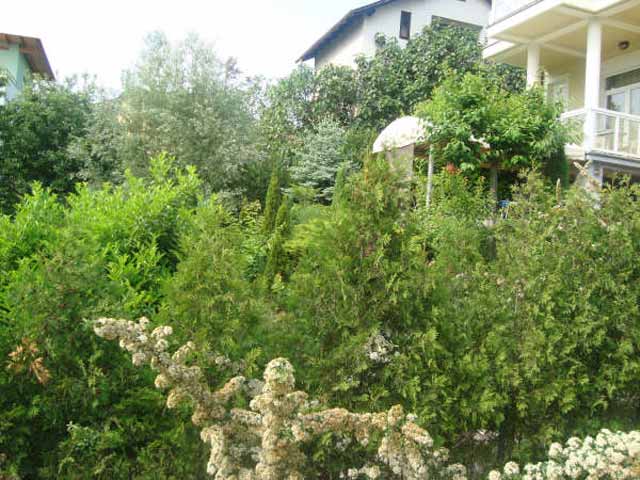 Trsje, Vrhovec, 270m²