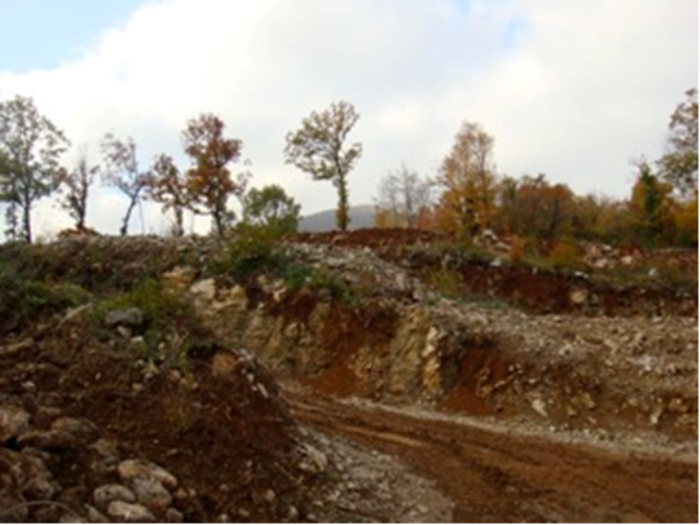 Opatija (Ičići), Kvarner, 12000m²