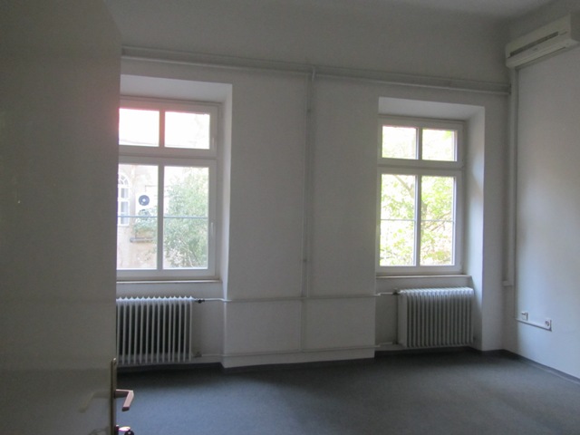 Ilica, Center, 356m²