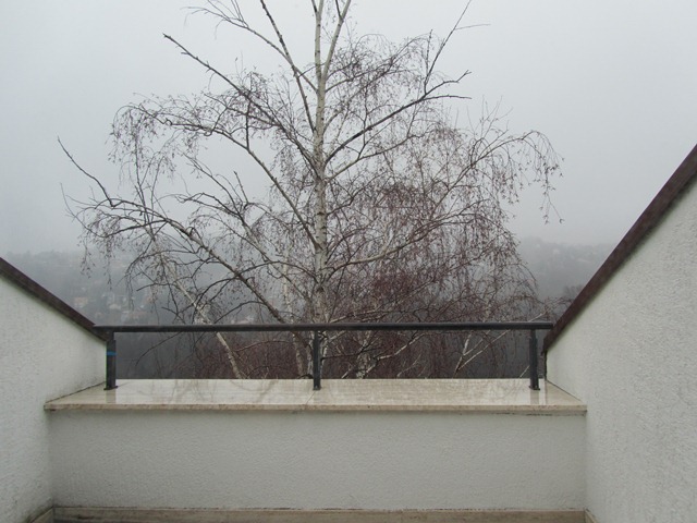 Vrhovec, Vrhovec, 270m²