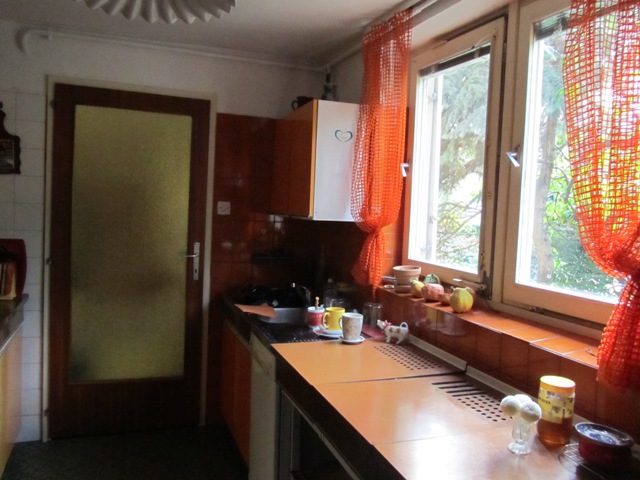 Lovćenska, Mlinovi, 230m²