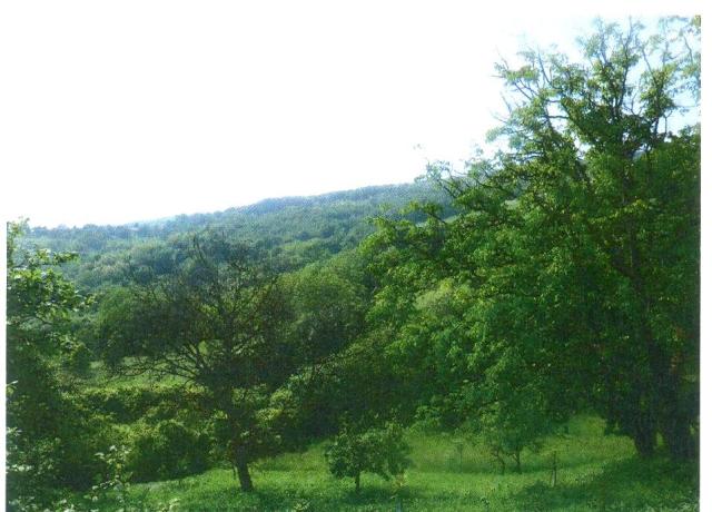 Šestine, Šestine, 7005m²