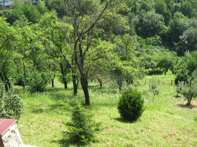 Pantovčak, Pantovčak, 750m²