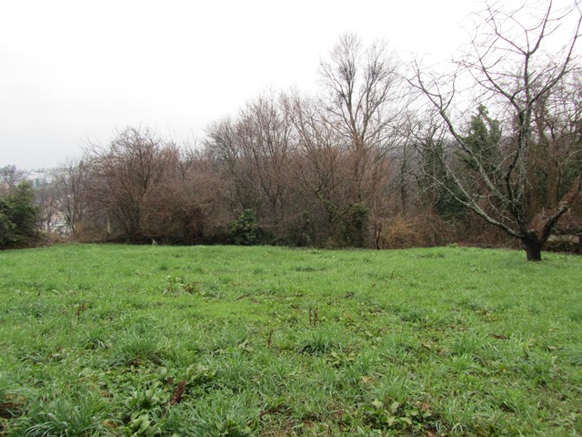 Tuškanac, Tuškanac, 450m²