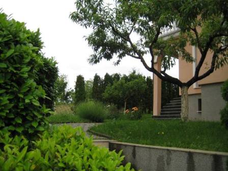 Bukovac, Bukovac, 557m²