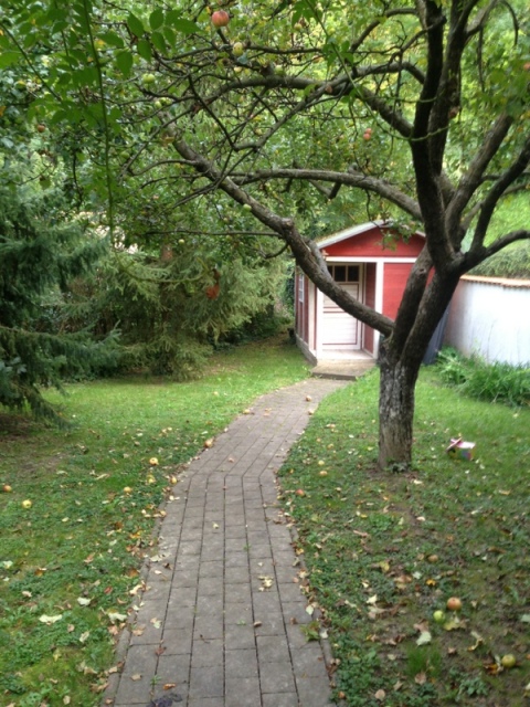 Veliki dol, Bukovac, 399m²