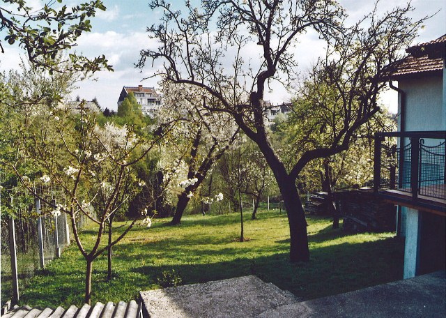 Rebar, Laščina, 320m²