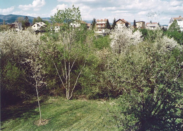 Rebar, Laščina, 320m²