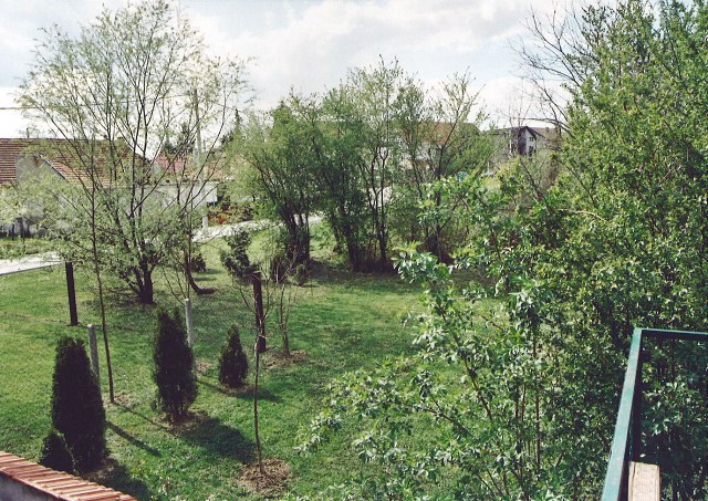 Rebar, Laščina, 320m²