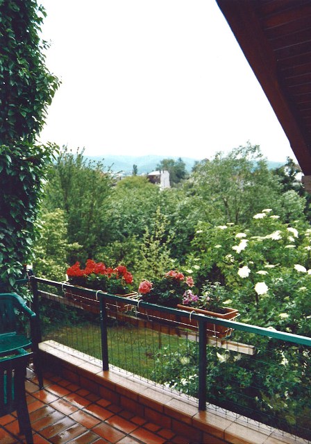 Rebar, Laščina, 320m²