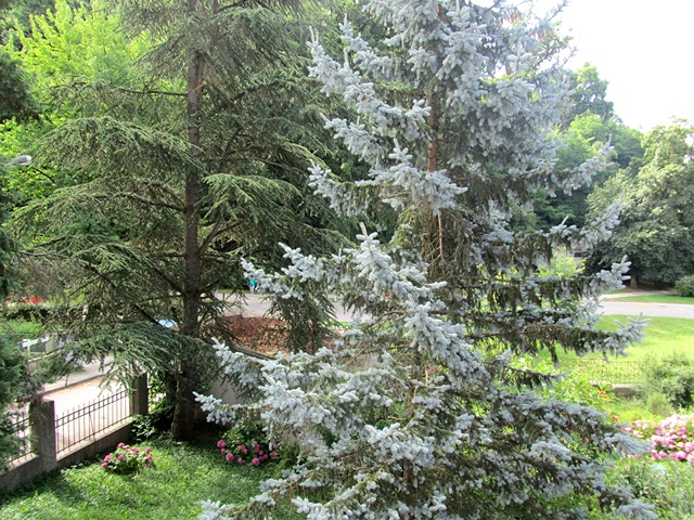 Goljak, Pantovčak, 80m²