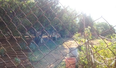 Dubrovnik, Dubrovačko primorje, 213m²