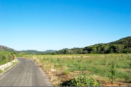 Dubrovnik, Dubrovačko primorje, 73000m²