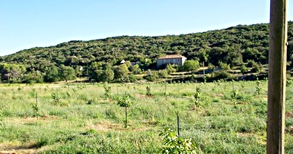 Dubrovnik, Dubrovačko primorje, 73000m²