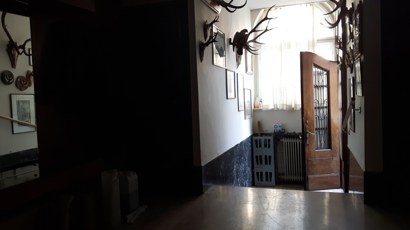 Ivana Gorana Kovačića, Tuškanac, 290m²