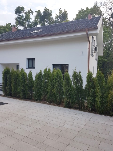 Laščina, Laščina, 300m²