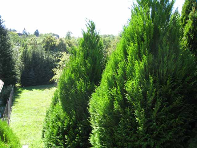 Donje Prekrižje, Prekrižje, 300m²