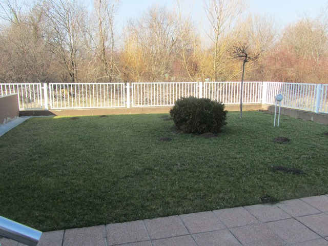 Gornji Bukovac, Bukovac, 800m²