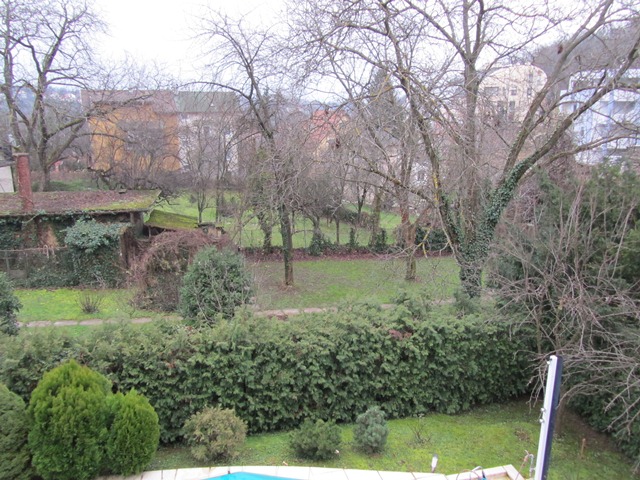 Naumovac, Ksaver, 450m²