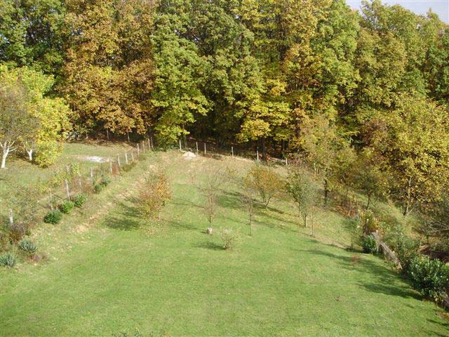 Rim, Šalata, 350m²