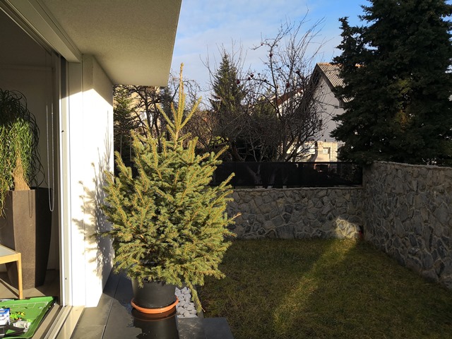 Alagovićeva, Šalata, 560m&sup2;