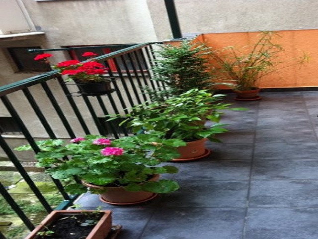 Bosanska, Center, 80m²