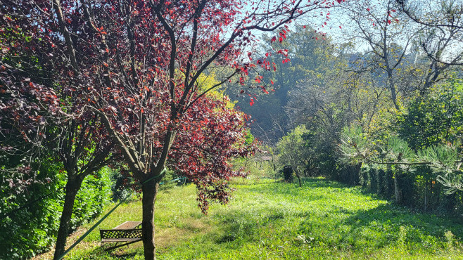 Goljak, Pantovčak, 200m²