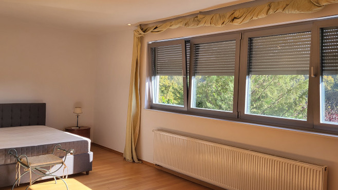 Goljak, Pantovčak, 200m²