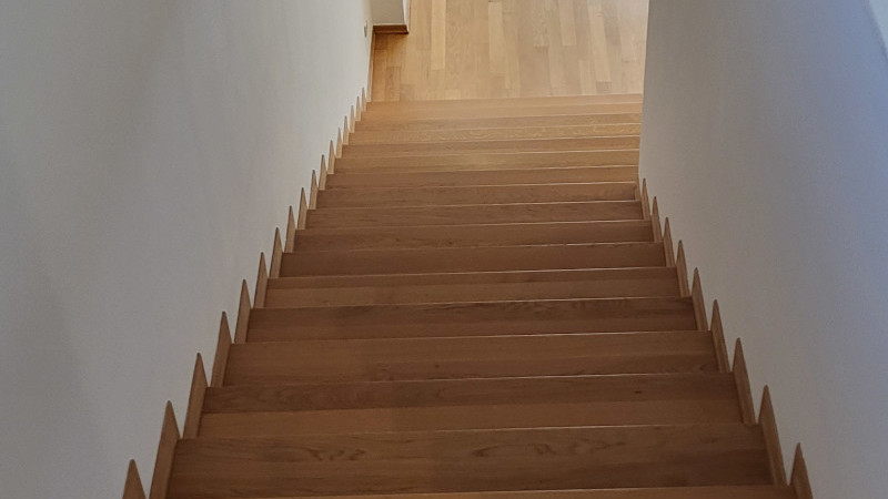 Goljak, Pantovčak, 200m²