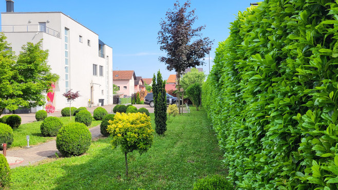 Bukovac, Bukovac, 200m²