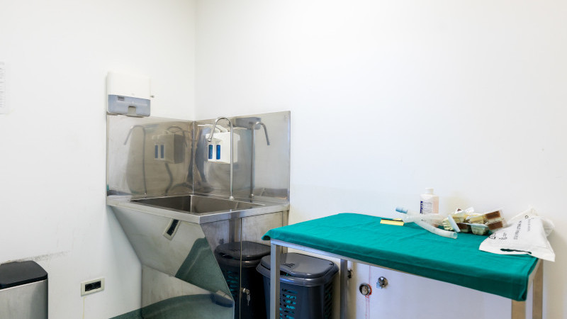 Donje Svetice, Donje Sveice, 266m²