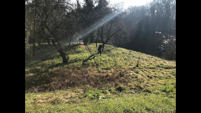 Tuškanac, Tuškanac, 1680m&sup2;