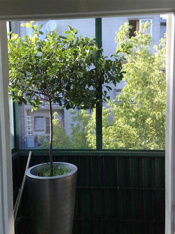 Zvonimirova, Centar, 148m²