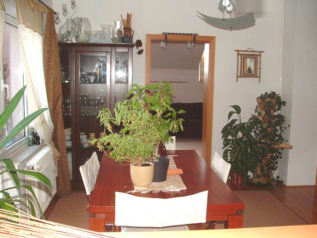 Fratrovac, Bukovac, 210m²