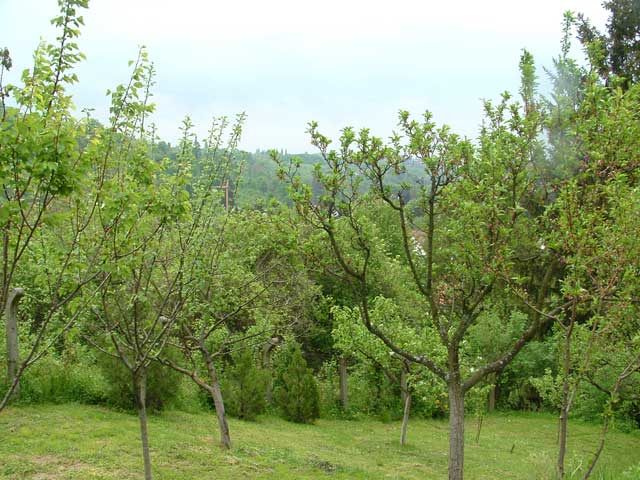 Pirovec, Mlinovi, 350m²