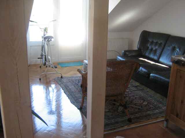 Lovćenska, Mlinovi, 360m²